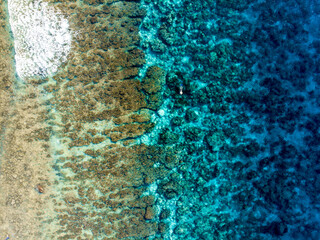 Aerial view of a coral reef in clear blue waters © Marcel