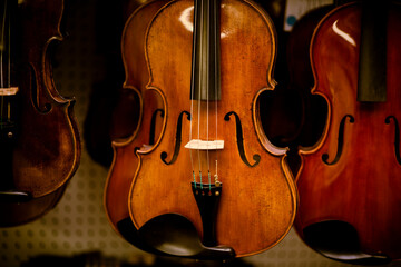 Row of violins arranged neatly on a stand in a room.