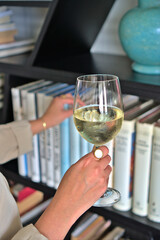 A woman selecting a book from a shelf while holding a glass of white wine, ideal for lifestyle and leisure promotions with copy space.