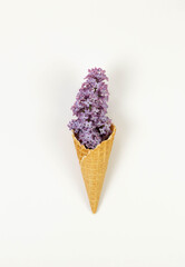 Top view of purple lilac flowers on white background. Creative ice cream waffle cone. Spring and summer wallpaper, flat lay, copy space.