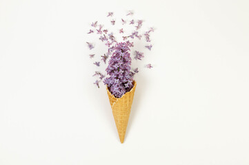 Top view of purple lilac flowers on white background. Creative ice cream waffle cone. Spring and...