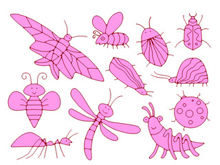 Illustration of different types of insects together