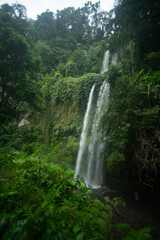 Lush greenery surrounds a serene waterfall in a tranquil forest setting.