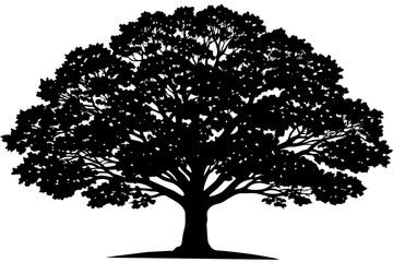 quercus tree vector silhouette illustration