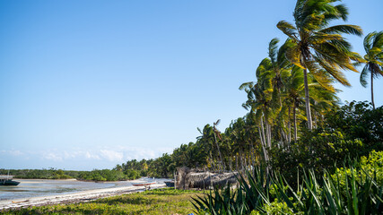 Obraz premium Stunning view of a beautiful beach in Mocimboa da Praia, in the Cabo Delgado region of Mozambique