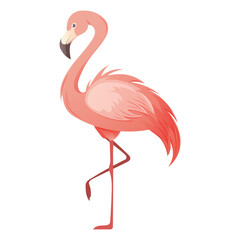 Beautiful pink flamingo on white background. Vector illustration of tropical bird for summer