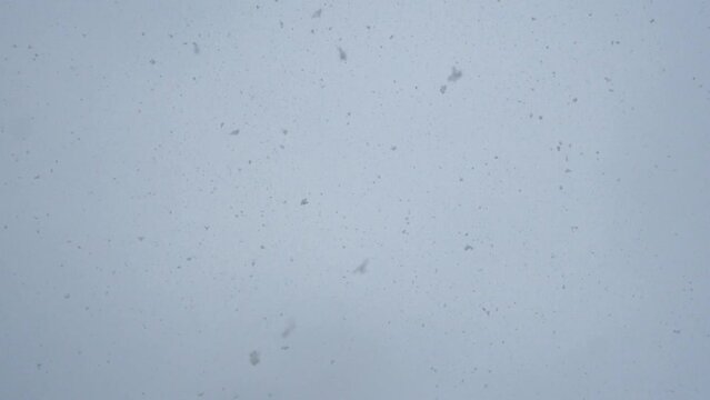 View fof snow falling in daylight with overcast sky in the background
