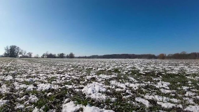 Drone footage of the snow covering a plowed field in a rural area on a sunny winter day