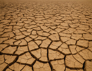 Cracked Dry Earth Desert Landscape