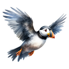 Fototapeta premium Puffin, Bird Illustration. Watercolor Style. AI Generated