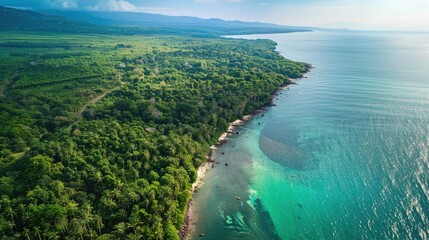 A breathtaking aerial view of a cliff above the ocean with stunning natural landscape, water merging with the sky, and terrestrial plants lining the beach AIG50 - Powered by Adobe