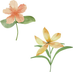 Vector Watercolor tropical flowers couple. Template, design elements for greeting cards, invitation, gender party, baby shower, birthday, event, holiday, wedding card, printable, EPS.