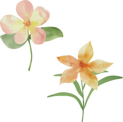 Obraz premium Vector Watercolor tropical pink and orange flowers couple. Template, design elements for greeting cards, invitation, gender party, baby shower, birthday, event, holiday, wedding card, printable, EPS. 