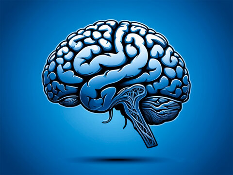 3D rendered human brain in shades of blue with solid background