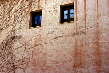 Deteriorated building with two windows
