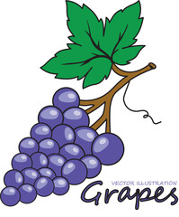 illustration of grapes with leaves