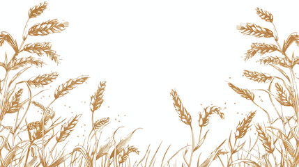 Cereal plants border on background with grain crops background