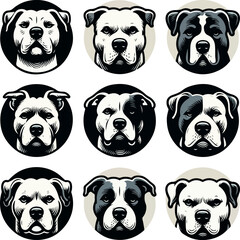 A Collection of Pitbull Dog Heads Vector Illustration