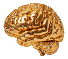 Golden human brain sculpture, cut out - stock png.