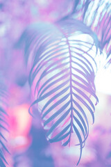 Colorful neon exotic leaves gradient tropical layout. Nature concept. Minimal holographic colors ...