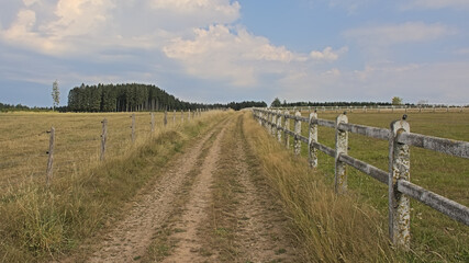 Fototapeta premium Dirtroad between fenced meadows Ardennes, Wallonia, Belgium 