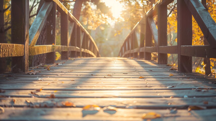 bridge in the park with sun lays