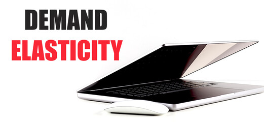 DEMAND ELASTICITY text on white background with laptop and mouse