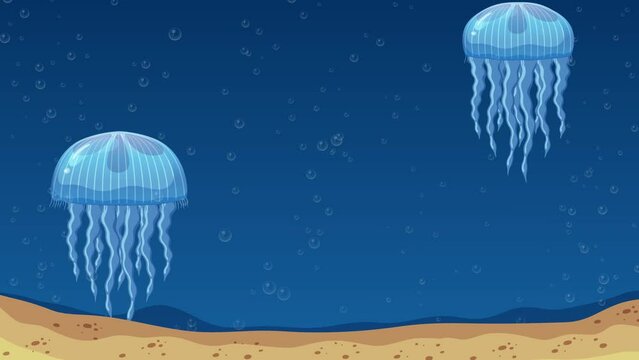 Jellyfish Life Cycle Animation