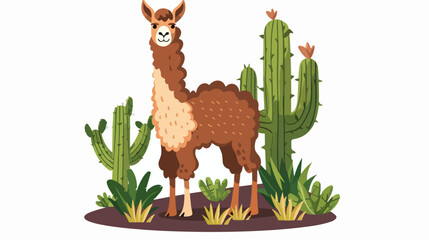 Charming llama cria or alpaca isolated on white background