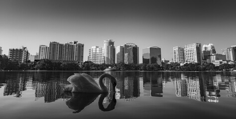 Picturesque beach scene where a majestic bird perches gracefully on the shoreline © Wirestock