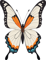Vector of a butterfly on a white background