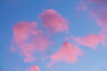 Natural Pink clouds on Blue sky background at sunset