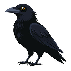 Black raven on a white background. Vector illustration design