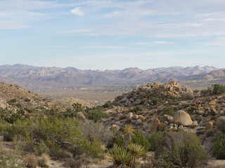 Stunning view of a desert landscape on a sunny day, with clear blue skies overhead