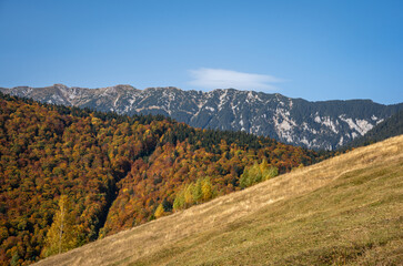 Stunning landscape of a lush mountainous region with an abundance of trees and majestic peaks