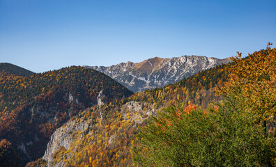 Stunning landscape of a lush mountainous region with an abundance of trees and majestic peaks