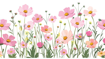 Cosmos flowers spring blooms decoration. Floral branc