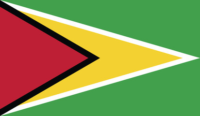 Illustration of the flag of Guyana © elysium studio
