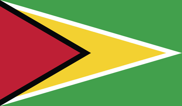 Illustration of the flag of Guyana