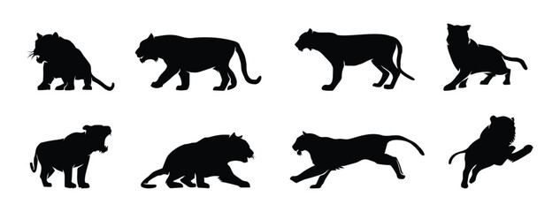 Set of Tiger silhouette isolated on white background.