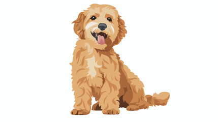 Cute curly Goldendoodle dog. Doggy of golden doodle b