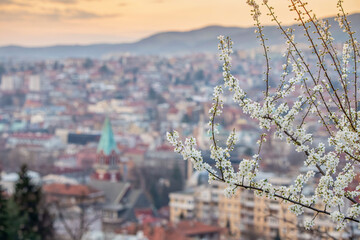 beauty of Sarajevo's traditional architecture and charming streets as spring brings new life to this European destination.