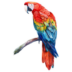 Obraz premium Scarlet Macaw, Bird Illustration. Watercolor Style. AI Generated
