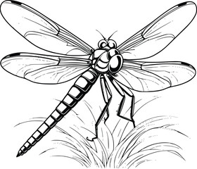 Dragonfly Coloring Page for Kids