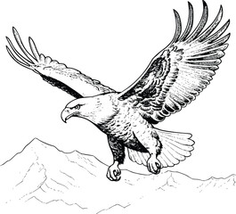 Eagle Flying Coloring Page Drawing For Kids 
