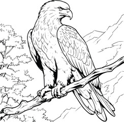 Eagle On A Branch Coloring Page Drawing For Kids