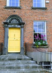 Foxgloves on windowsill