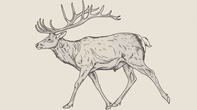 recommend clip art: Elegant outline drawing of walking male deer reindeer