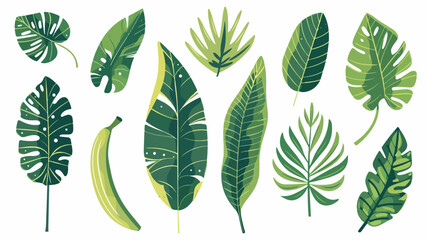 Exotic leaf set. Tropical jungle leaves. Green foliag