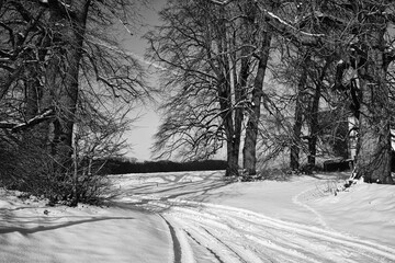 Obraz premium Scenic view of a snowy road in Maransart, Belgium